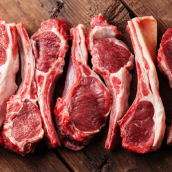 Lamb